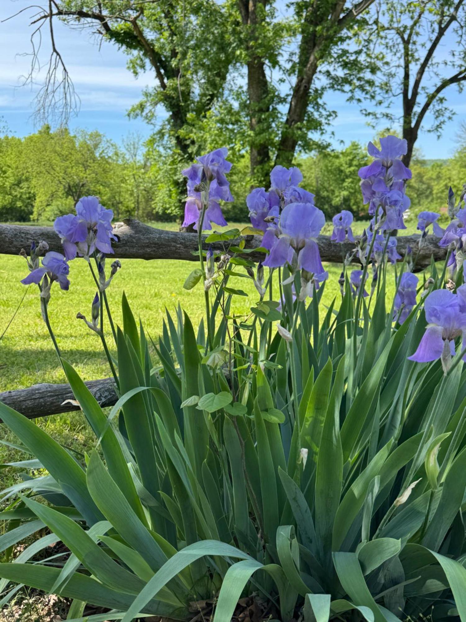 Ozark Country Inn เมาน์เทนวิว ภายนอก รูปภาพ