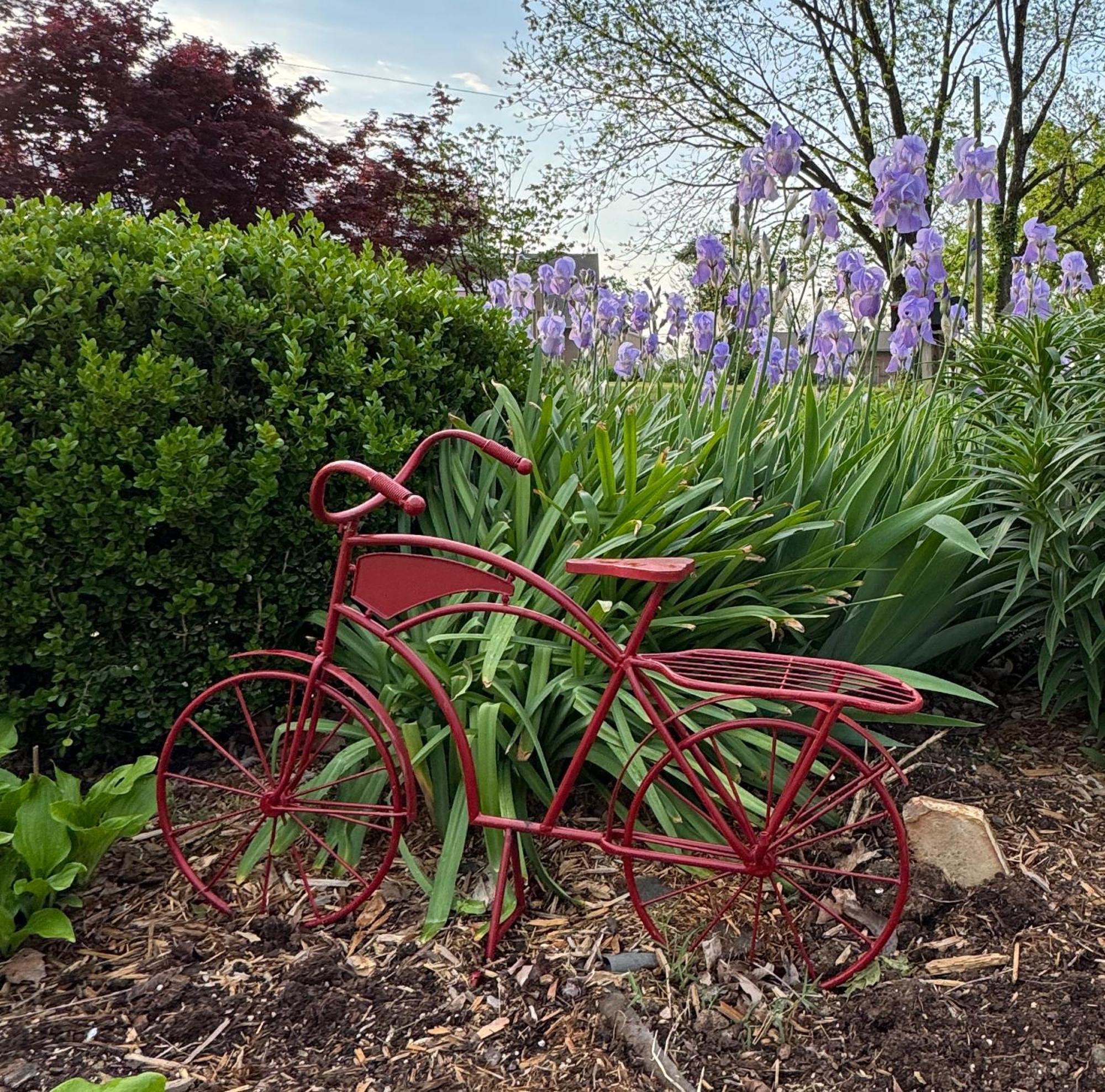 Ozark Country Inn เมาน์เทนวิว ภายนอก รูปภาพ